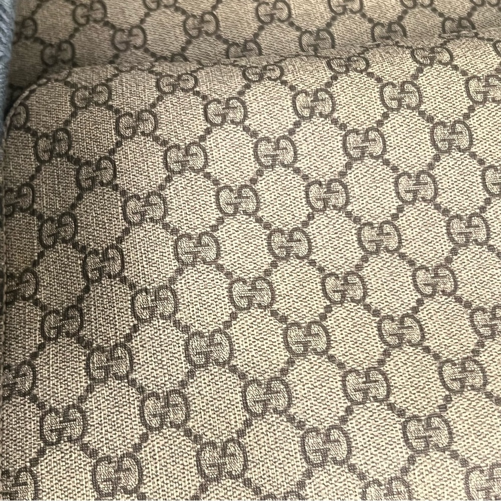 Gucci Backpack - image 8